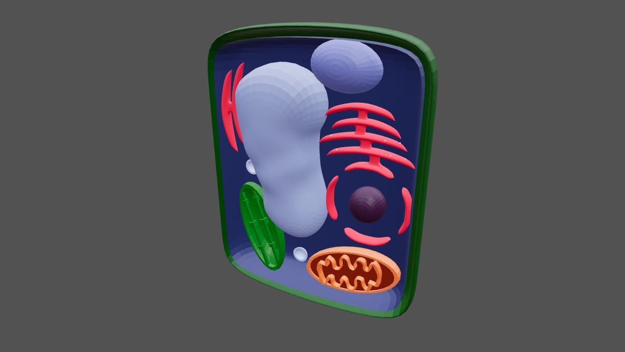 Sel Tumbuhan (Plant Cell) — Organel Lengkap