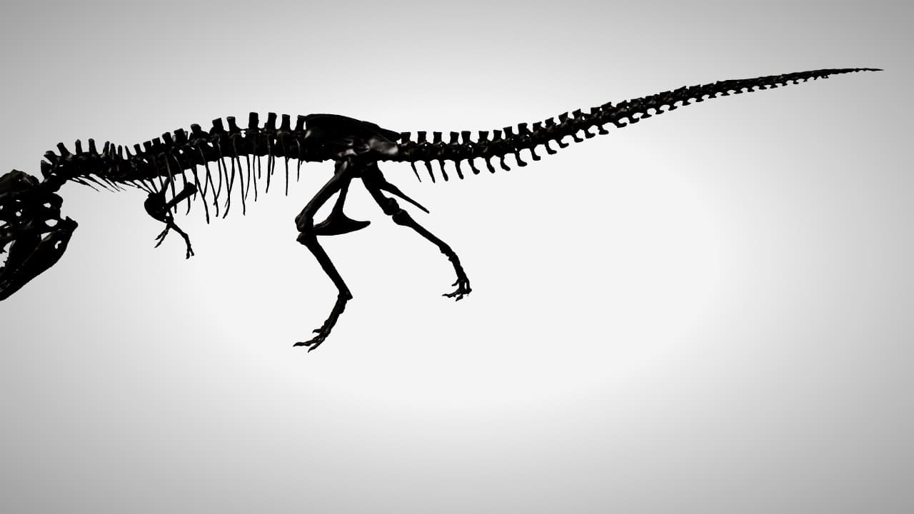 Kerangka Tyrannosaurus rex — Fosil Predator Puncak Cretaceous (Anatomi Tulang)