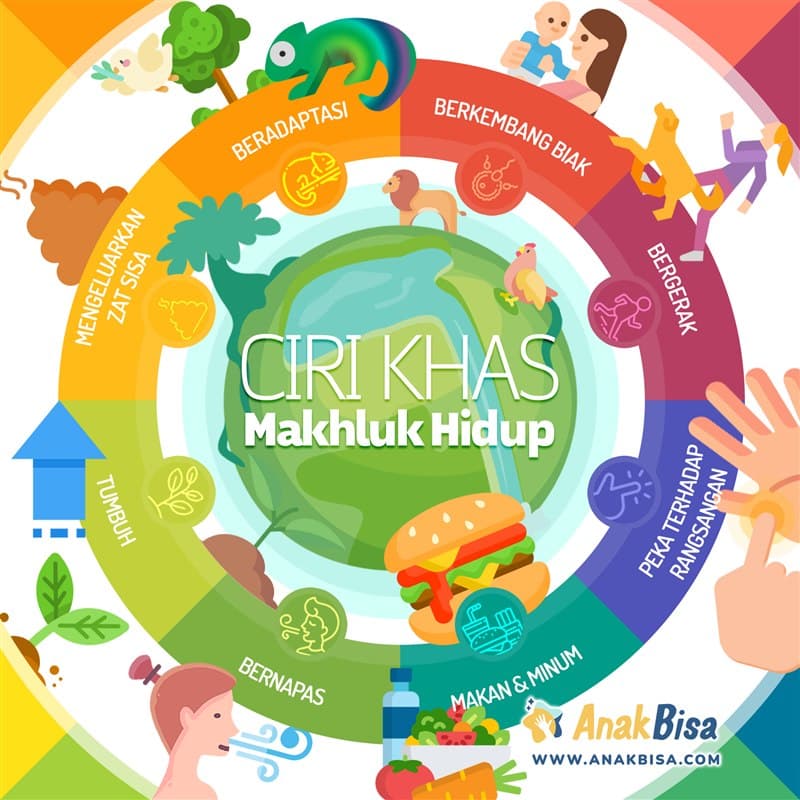 Ciri-Ciri Makhluk Hidup: 8 Karakteristik Khasnya