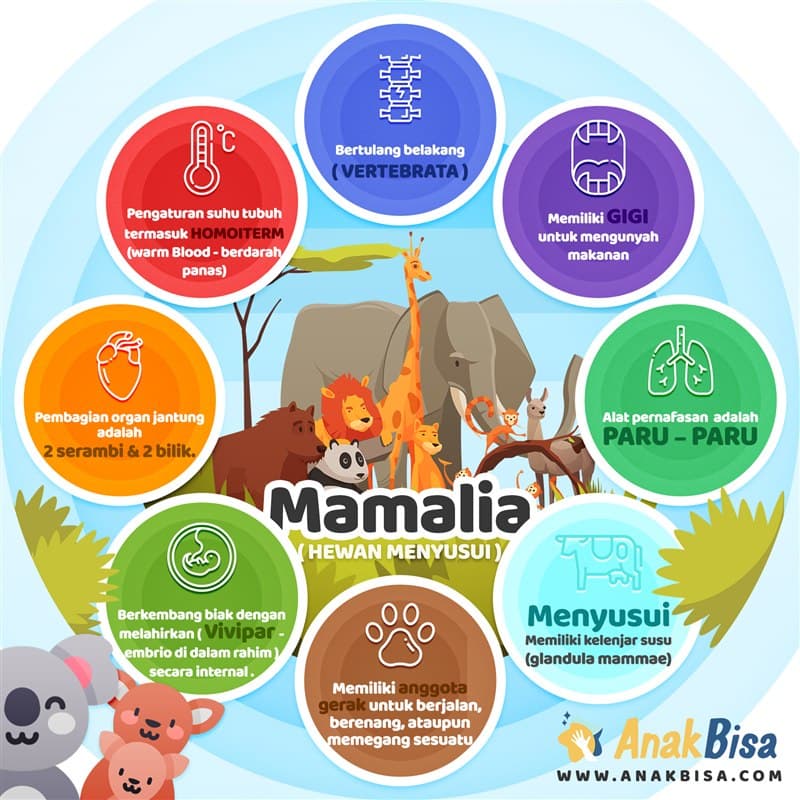 Klasifikasi Hewan Vertebrata: Mamalia, Unggas, Reptil, Ikan