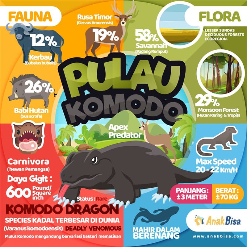 Pulau Komodo: Habitat Komodo Dragon & Ekosistemnya