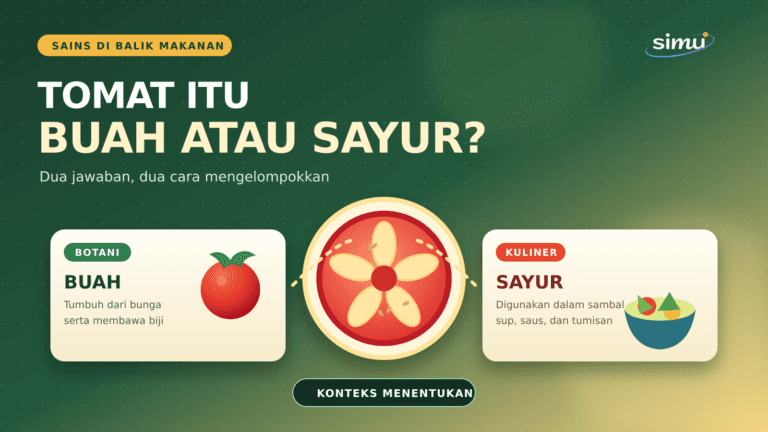 Ilustrasi tomat dengan perbandingan klasifikasi botani sebagai buah dan kuliner sebagai sayur